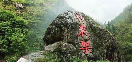 公主设计师大赛